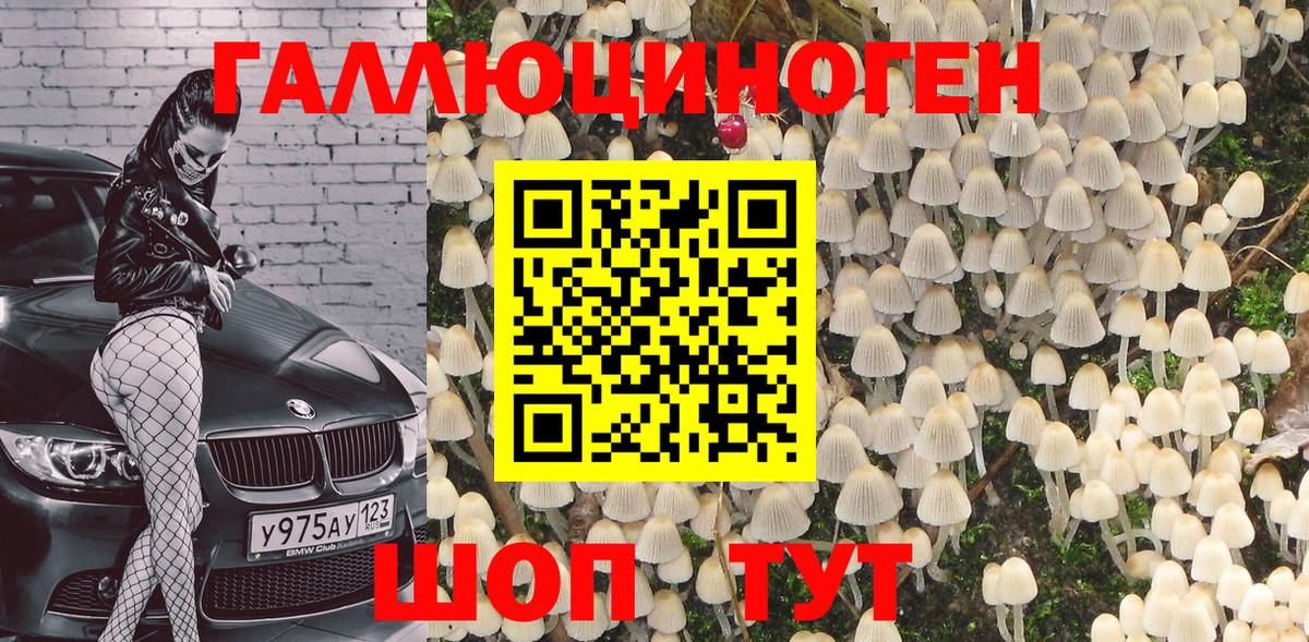 Сызрань  Псилоцибиновые грибы Psilocybine cubensis  Вход с VPN 