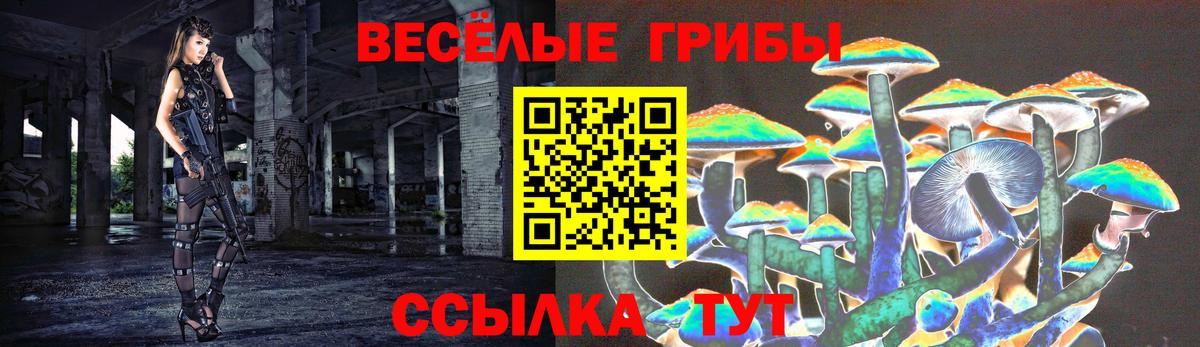 Псилоцибиновые грибы ЛСД Сызрань